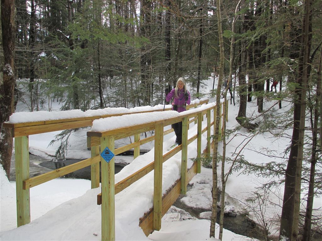 Photo by Marie Bartlett